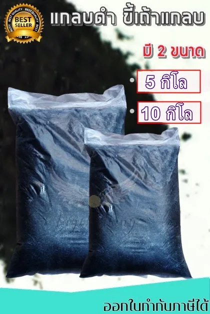 แกลบดำผสมเชื้อไตรโคเดอร์ม่า ป้องกันเชื้อรา