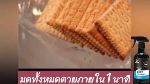 🔥7 วันกำจัดมด 🔥 ยาฆ่ามด 300ml ยาฆ่าแมลง ยาฆ่ามดในบ้าน กำจัดมด สูตรสมุนไพร เหมาะกับคนท้องและทารก เทคโนโลยี HVL ฆ่ามดทั่วไปหลายชนิด การเสียชีวิตจากโรคติดต่อ การฆ่าอย่างต่อเนื่อง ยากำจัดมด ยากำจัดแมลง ผงกำจัดมด - Lazada