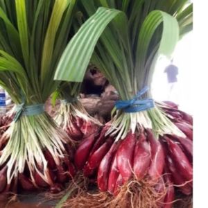 Bawang Dayak Merah Segar 1kg - Biji Bunga Asli Tumbuh Lagi