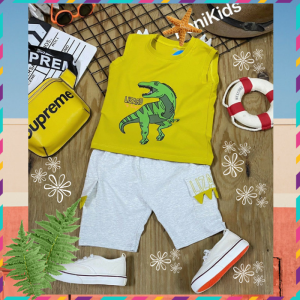 [Nhập RS0822 giảm 30k cho đơn 99k][Cao Cấp Cực Đẹp]Đồ Bộ Bé Trai Size Đại 10kg-40kg Thun Cotton Co Giãn 4 Chiều Mềm Mịn Rất Mát Hình Khủng Long-1483/4