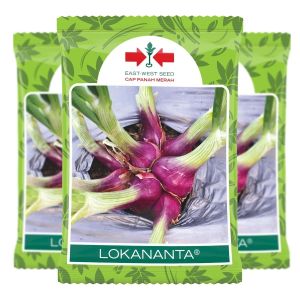 Benih bawang Merah Lokananta isi 800 butir - cap panah merah