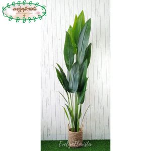 Pohon Imitasi Tanaman Artificial Pisangan Heliconia T210 Latex Cover Eceng Gondok Handle Dekorasi Rumah Aesthetic