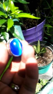 Cincin Batu Cateye Matakucing Biru 20 mm