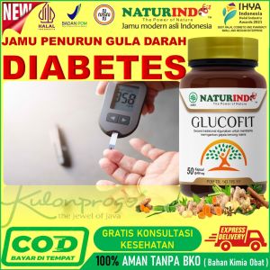 Obat Diabetes Gula Kering Basah Kencing Manis Luka sulit Sembuh Sering Buang air kecil Herbal Ampuh