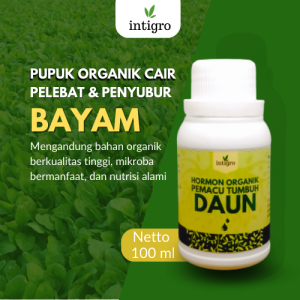 Pupuk Penyubur Tanaman Bayam / Pupuk Hama Daun Bayam / Pupuk Sayuran Bayam / Pupuk Daun Bayam Cair