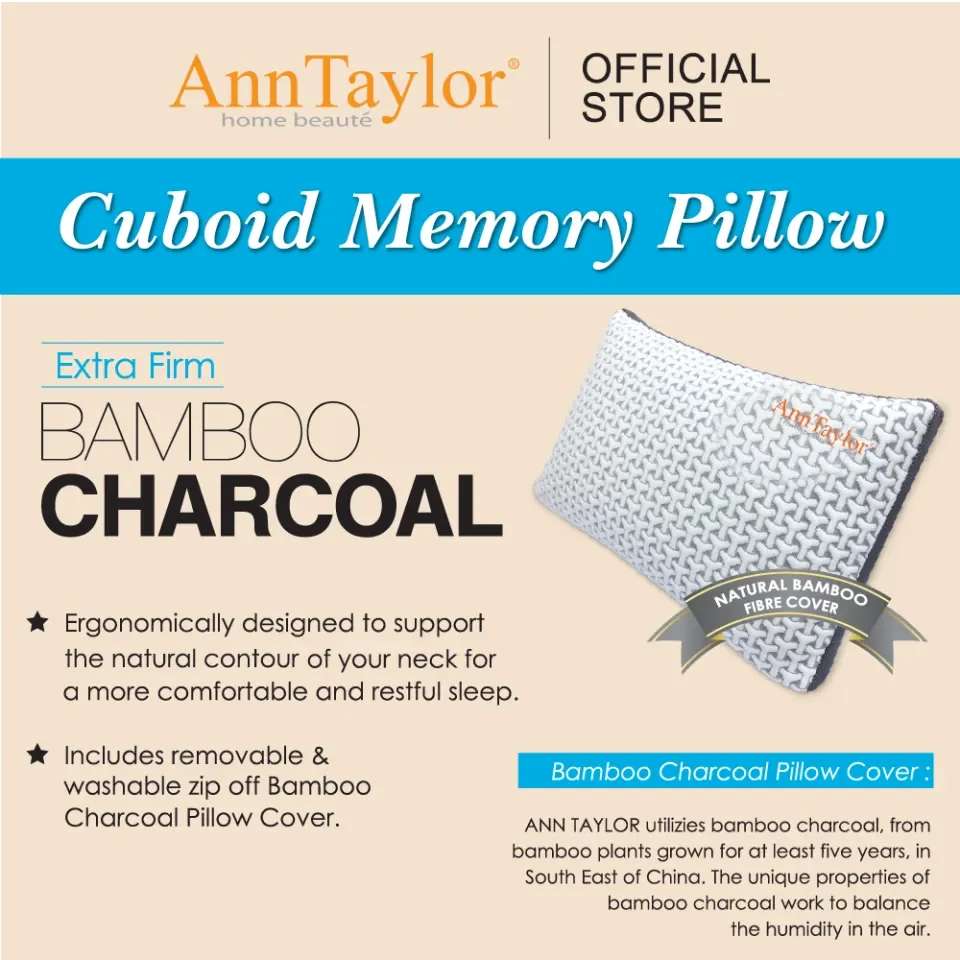 Ann store taylor pillow