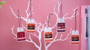 12 Pcs Air Fresheners Jar Shape Paper Scented Hanging Autumn Wreath Mcintosh Apple Fragrance Spiced Pumpkin with Cinnamon Decor for Car Bathroom Thanksgiving(Apple Pumpkin Autumn Wreath)