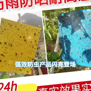 Double - Sided Sticky Insect Traps Yellow and Blue Boards for Greenhouses | Barangan Berkualiti Reka Bentuk Praktikal Mudah Guna