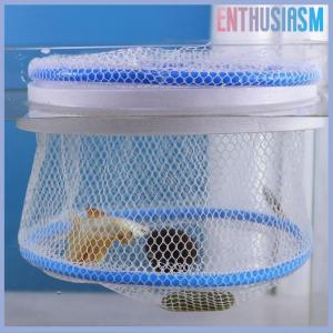 【Enthusiasm】🌟🌟【Hot Sale】🎈 Aquarium Isolation Box Fish Hatchery Net Fish Tank Breeding Isolation Hatching Net Small Fry Breeding Box Fish Care Supplies