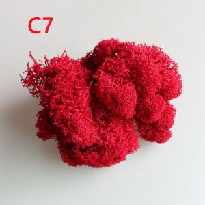 CEMOMEF Colorful Wedding Accessories Home Decor Decoration Flower Wedding Reindeer Moss Micro Landscape Artificial plant Eternal Life Moss