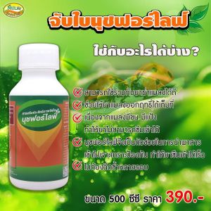 สารจับใบนุชฟอร์ไลฟ์ขนาด500cc