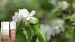 Vanilla Jasmine Fragrance Mist Refreshing Floral Scent Long-Lasting for Neck & Wrist Portable Eau de Parfum