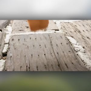 ซันนี่ไลฟ์ สำหรับ DJI Osmo Pocket 3 ฝาครอบป้องกันพลาสติก ป้องกันรอยขีดข่วน หัวเลนส์ หน้าจอ เคสป้องกันกล้อง gimbal แบบพกพา