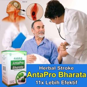 Antapro Bharata Obat Stroke Herbal Ampuh Original - Obat Stroke Berat & Ringan Ampuh - Obat Jantung