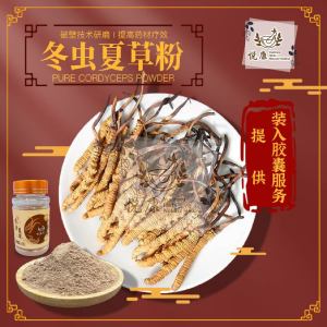 YK Herbs 冬虫夏草 3 Free ½ Bottle or 4 Free 1Pure Cordyceps Powder 冬虫夏草丸 虫草丸 冬虫夏草粉Mild and effective