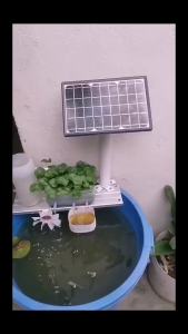 Aquarium Solar Water Pump 12V Hydroponics Filter Aeration Fish Tank Rockery Water Pumping Submersible Pump Pond Fountain Outdoor