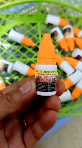 ĐẸN HỌNG TRÁI ĐẬU NẤM HỌNG