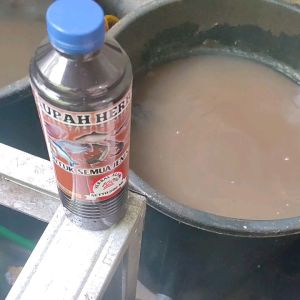 RAMUAN HERBAL IKAN LELE OBAT IKAN DAN VITAMIN IKAN GURAME BAWAL PATIN IKAN MAS MUJAIR GABUS UDANG BANDENG STRES JAMUR BAKTERI AIR KOLAM KEMBUNG GANTUNG NAPSU MAKAN BERKURANG IKAN KOI ARWANA IKAN CUPANG MURAH BAGUS AMPUH CEPAT