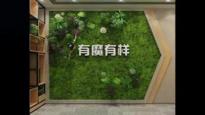 Beginner-Friendly Magic Cube: Qiyi Speedcube 2x2