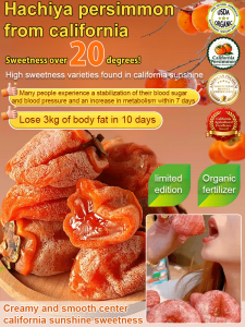 [Traditional Sun-Dried] Frosted Molten Persimmon Cake