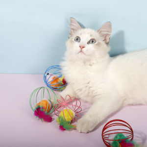 JINGQII บอลกรงหนู บอลกรงกระดิ่ง คละสี ของเล่นแมว ของเล่นสุนัข ของเล่นสัตว์เลี้ยง กำจัดความเบื่อหน่าย สีสันสดใส แข็งแรงและทนต่อการเล่น Hongxii