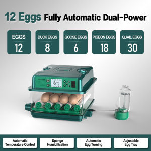 Egg Incubator 210/136 Eggs Fully Automatic Egg Incubator Intelligent Digital Hatcher Brooder with Temperature Control and Auto Turning for Hatching Chicken Duck Goose Quail Birds Incubators for Farm