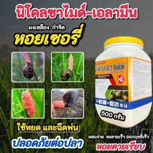 ยาฆ่าหอย นิโคลซาไมด์-โอลามีน กระปุก 500 กรัม กําจัดหอย หอยเชอรี่ กำจัดหอยเชอร์รี่ สารกำจัดหอย (ปลอดภัยต่อปลาในนา) ตราNC