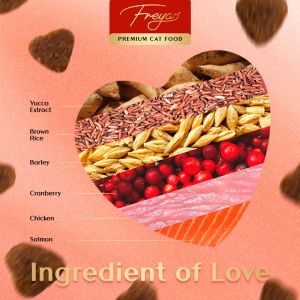 Freya Dry Cat Food for All Stage 1Kg
