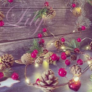 (SG Seller)【LUXURY&HIGH QUALITY】 Christmas Xmas fesitive Led lighting Natural acorn pine jingle 2m 20LED 3AA Batteries environment friendly products Christmas ornmental