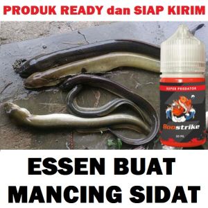 ESSEN BUAT MANCING SIDAT PALING GACOR ISI 30ML | BOOSTRIKE SUPER PREDATOR