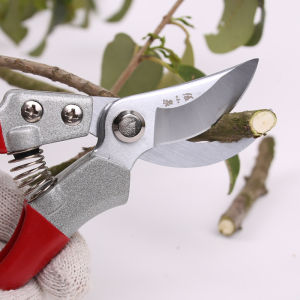 กรรไกรตัดกิ่ง ZhangXiaoQuan กรรไกรตัดกิ่งไม้ ขนาด 8 นิ้ว กรรไกร ZH-306S / MasterZ