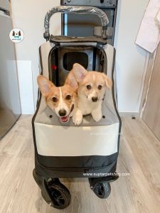 รถเข็นสุนัขใหญ่ รถเข็นสัตว์เลี้ยงขนาด XL รุ่น BL06A รถเข็นหมาแมว พับเก็บง่าย ขนาดกล่อง 45x70x67 CM. มี 3 สี (น้ำตาล น้ำเงิน แดง)