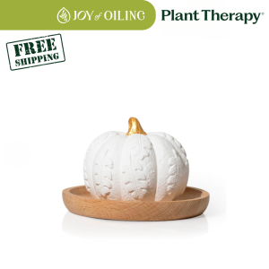 PLANT THERPY Pumpkin Passive Diffuser