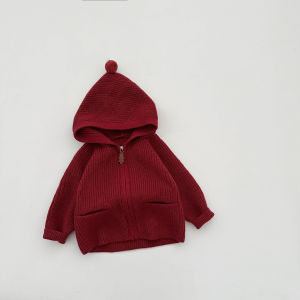 Boys and girls hooded sweater thick cardigan Korean style stylish childrens autumn and winter solid color knitted coat for toddlers