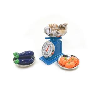 Tiny Clay And Plastic Kitchen Scale Dollhouses Decors Realistic Market Scene Model With Weight Measurement Function Compact Design