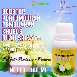 Pupuk Pemanis Buah Buahan / Pupuk Anti Perontok Bunga Buah / Pupuk Anti Perontok Buah / Pupuk Pelebat Buah Srikaya / Pupuk Buah Srikaya