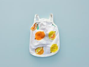 ÁO THUN HAI DÂY TRÁI CÂY THÔNG HƠI SIÊU CUTE TỪ 1-7.5KG DÀNH CHO THÚ CƯNG CHÓ MÈO