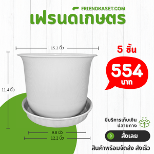 กระถาง กระถางต้นไม้ มินิมอล ถ้วยจีน+จาน ขนาด 15 นิ้ว สีขาว 5 ใบ ชิ้น อัน
