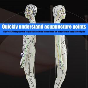 Human Acupuncture Model with Acupoints and Meridians Male Acupuncture Model Female Acupuncture Model for Acupuncture