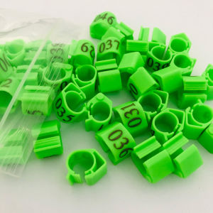 10Pcs 20Pcs Pigeon Oval Ring White Pigeon Foot Ring Adjustable Dove Clip Ring Pigeon Accessories