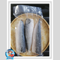Premium Norway Saba Mackerel Fish Fillet / 挪威无骨鲭鱼片 3nos (500-600gm/pkt) - Old Mama Seafood. 