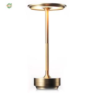 Rechargeable Metal Table Lamp with 3 Color Modes Desktop Night Light for Indoor Outdoor Restaurant Living Room Bedroom [Winnereco World]