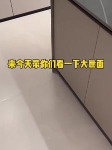FFBH Kitchen Sink Cabinet Door Connect Waste Bins Creative Waterproof Moisture-proof Large Capacity Hidden Type Waste Bins Household Z1H5K