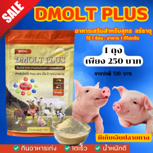 DMOLT PLUS ดีมอลต์ พลัส เอนไซม์และแร่ธาตุเพื่อการเจริญเติบโตสำหรับสัตว์ สารผสมล่วงหน้า ชนิดพรีมิกซ์ สำหรับ โคเนื้อ โคนม