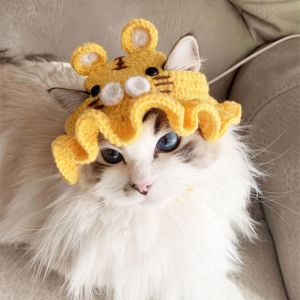 QEFEE Winter 2023 Warm Handmade Elastic Frog Hat Pet Cap for Party Photo Props Cat Hat