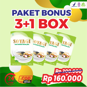 PAKET SOYAGI 4 BOX Susu Kedelai Rendah Kalori Lemak Diet Efektif Seimbang