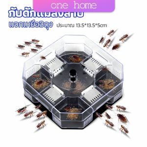 One Home ที่ดักแมลงสาบ ที่ดักแมลงสาบ กล่องดักแมลงสาบ  cockroach trap