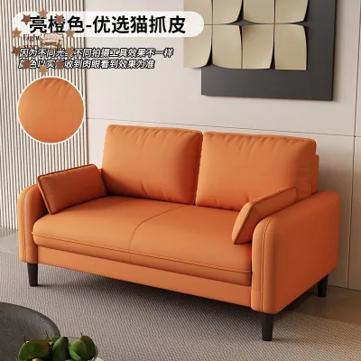 Light luxury small-sized apartment with double or triple sofa rental room lounge area reception beauty salon sofa