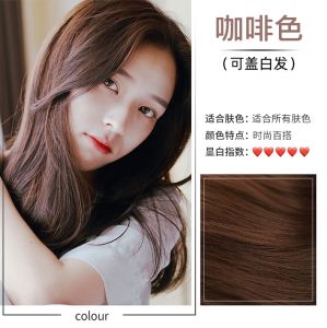 Bubble Color Hair Dye Shampoo 230ml 泡泡染发 Plant Extract Hair Dyer Cover the grey hair Black and White Hair becomes Colorful Bubble Hair Dye Achieve Vibrant Hair Color with Plant-based Formula 染发剂 植物泡泡染