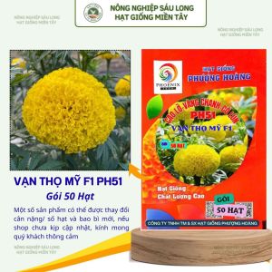 Gói 50 Hạt Vạn Thọ Mỹ F1 PH51 – Vàng Chanh Cổ Lùn Cao 50–55cm